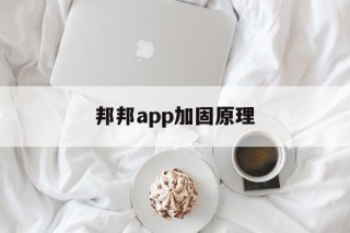 包含邦邦app加固原理的词条