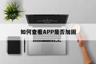 包含如何查看APP是否加固的词条