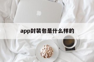 app封装包是什么样的 - APK报毒处理平台-apk防红链接-防封链接-安卓过毒免杀-稳定不掉签名TG:@AICDN8