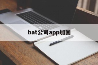 bat公司app加固的简单介绍