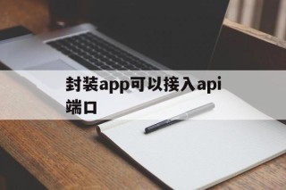 封装app可以接入api端口的简单介绍