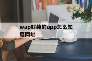 包含wap封装的app怎么知道网址的词条