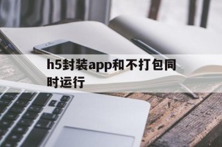 包含h5封装app和不打包同时运行的词条