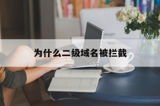 为什么二级域名被拦截 - 谷歌防红💯域名防红解决,TG：@AICDN8