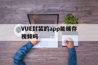 包含VUE封装的app能缓存视频吗的词条