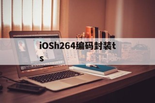 iOSh264编码封装ts的简单介绍