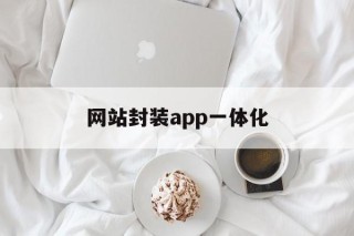 包含网站封装app一体化的词条