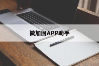 微加固APP助手的简单介绍