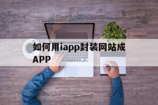 包含如何用iapp封装网站成APP的词条