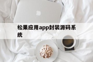 松果应用app封装源码系统 - APK报毒处理平台-apk防红链接-防封链接-安卓过毒免杀-稳定不掉签名TG:@AICDN8