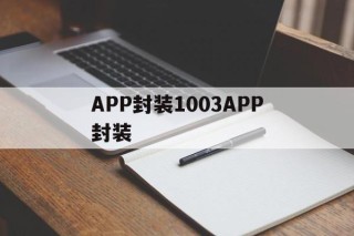 APP封装1003APP封装的简单介绍