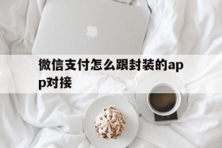 微信支付怎么跟封装的app对接 - APK报毒处理平台-apk防红链接-防封链接-安卓过毒免杀-稳定不掉签名TG:@AICDN8