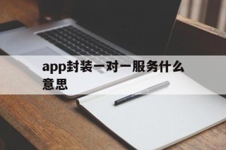 app封装一对一服务什么意思 - APK报毒处理平台-apk防红链接-防封链接-安卓过毒免杀-稳定不掉签名TG:@AICDN8