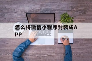 怎么将微信小程序封装成APP - APK报毒处理平台-apk防红链接-防封链接-安卓过毒免杀-稳定不掉签名TG:@AICDN8