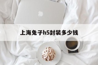 关于上海兔子h5封装多少钱的信息