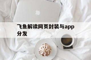 飞鱼解读网页封装与app分发的简单介绍