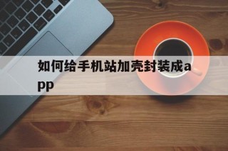 包含如何给手机站加壳封装成app的词条