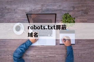 关于robots.txt屏蔽域名的信息