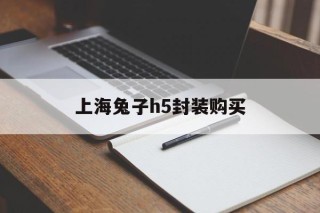 上海兔子h5封装购买的简单介绍