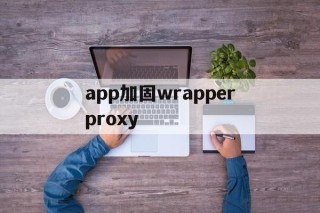 关于app加固wrapperproxy的信息