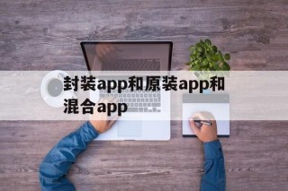 封装app和原装app和混合app的简单介绍