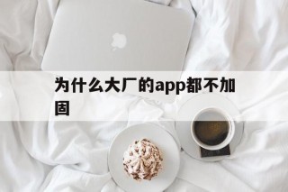 为什么大厂的app都不加固 - APK报毒处理平台-apk防红链接-防封链接-安卓过毒免杀-稳定不掉签名TG:@AICDN8