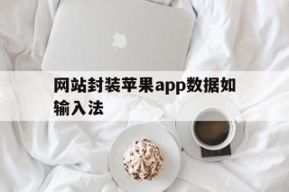 网站封装苹果app数据如输入法的简单介绍