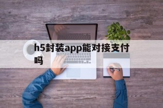 关于h5封装app能对接支付吗的信息