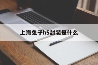 关于上海兔子h5封装是什么的信息