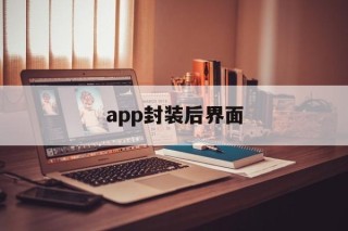 app封装后界面的简单介绍