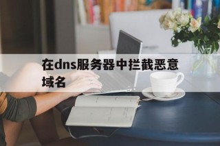 关于在dns服务器中拦截恶意域名的信息