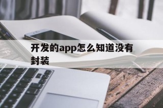 开发的app怎么知道没有封装的简单介绍