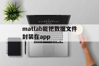 关于matlab能把数据文件封装在app的信息