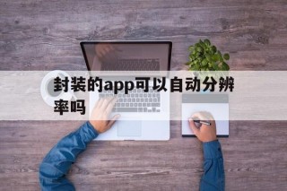 封装的app可以自动分辨率吗的简单介绍