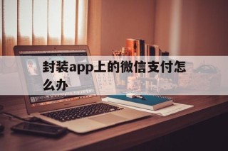 封装app上的微信支付怎么办的简单介绍