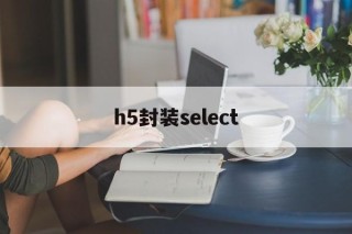 关于h5封装select的信息