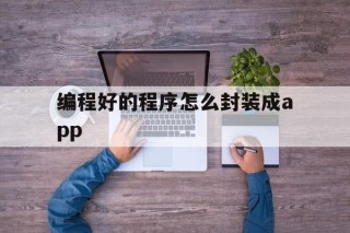 编程好的程序怎么封装成app的简单介绍