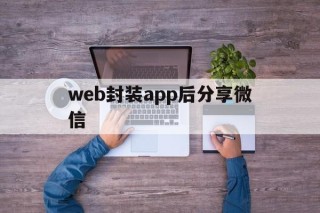 web封装app后分享微信的简单介绍