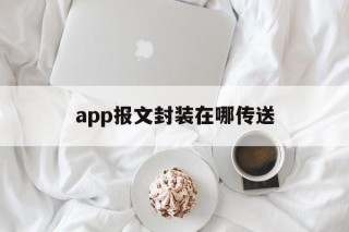 app报文封装在哪传送 - APK报毒处理平台-apk防红链接-防封链接-安卓过毒免杀-稳定不掉签名TG:@AICDN8