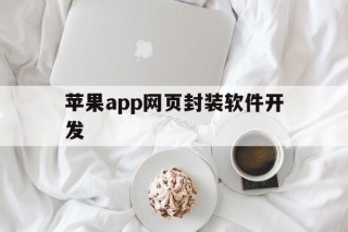 苹果app网页封装软件开发 - APK报毒处理平台-apk防红链接-防封链接-安卓过毒免杀-稳定不掉签名TG:@AICDN8