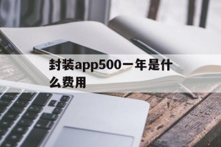 封装app500一年是什么费用的简单介绍