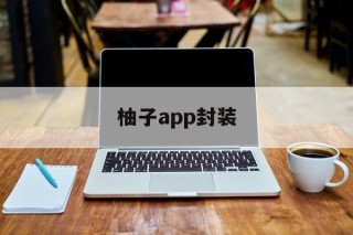 包含柚子app封装的词条