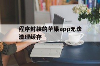 程序封装的苹果app无法清理缓存 - APK报毒处理平台-apk防红链接-防封链接-安卓过毒免杀-稳定不掉签名TG:@AICDN8