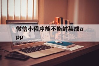 关于微信小程序能不能封装成app的信息