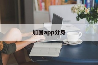 关于加固app分身的信息