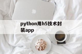 python用h5技术封装app的简单介绍