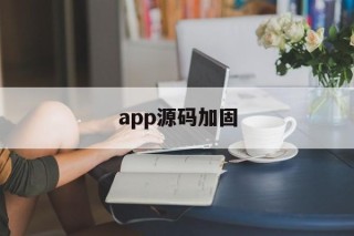 关于app源码加固的信息