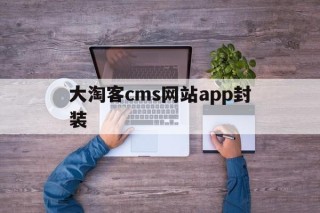 大淘客cms网站app封装的简单介绍