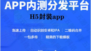 h5封装app ios不能上架  第1张