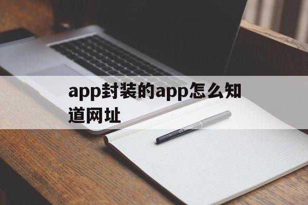 包含app封装的app怎么知道网址的词条  第1张